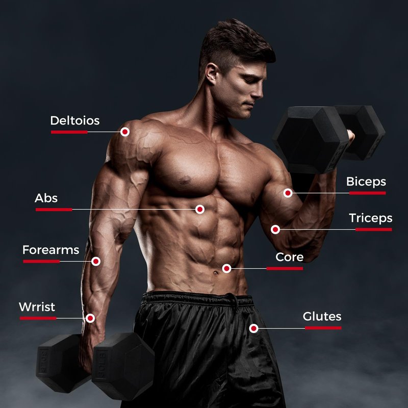 RitFit 5-780LBS Rubber Coated Hex Dumbbell Weight Set with Rack and Adjustable Weight Bench for Home Gym, Strength Training, Workouts