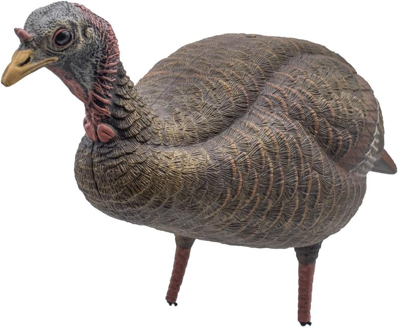 Live Breeder Hen Turkey Decoy - Realistic Hunting Decoy for Effective Turkey Lure