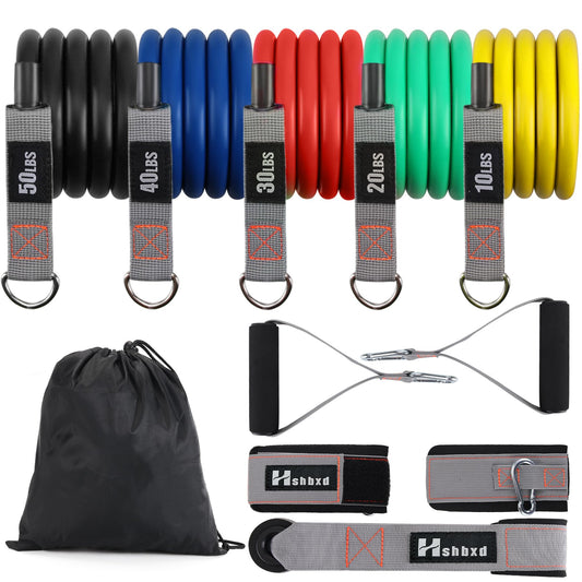 Resistance Bands with Handles, Exercise Bands Set for Men and Women, Workout Bands with Door Anchor, Legs Ankle Straps for Strength Training, Home Working Out Equipment(Five Colors 10-150 lbs)