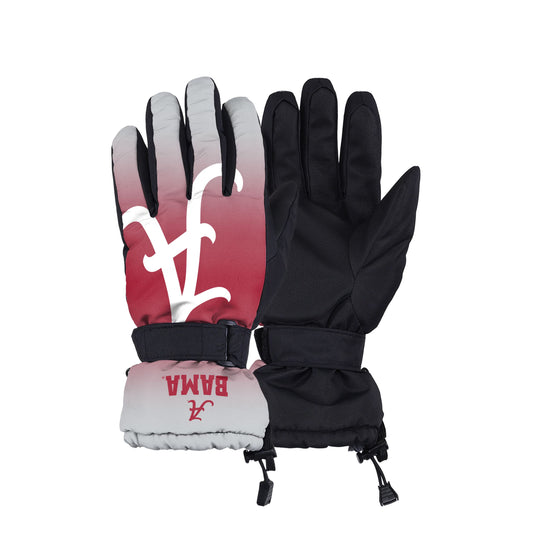 FOCO NCAA Ohio State Buckeyes Insulated Gradient Big Logo Gloves, Team Colors, Small/Medium