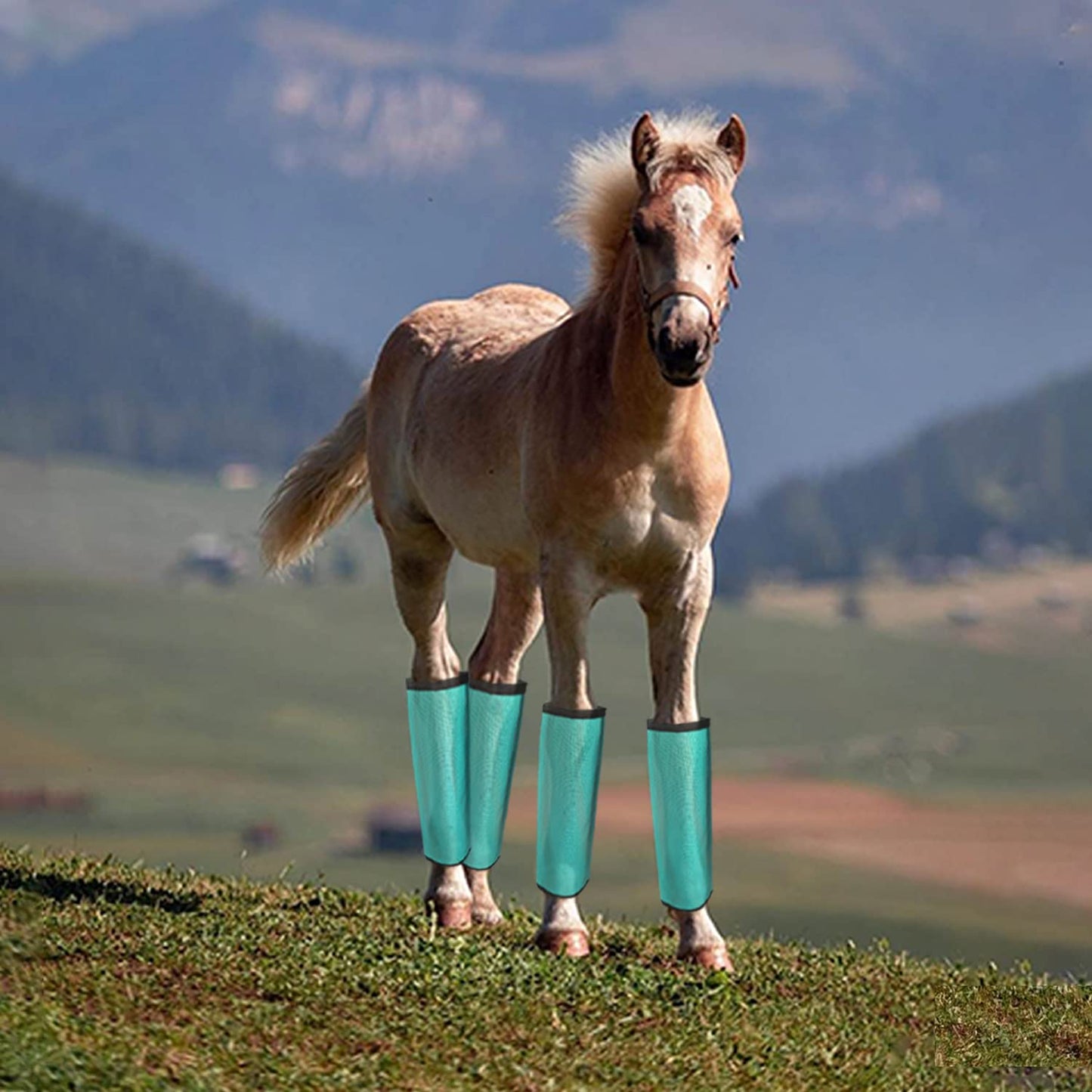 Horse Fly Boots, Loose Fitting & Non-Slip, Breathable Mesh Fly Boots for Horse Leggings Reduce Stomping (4Pack-M Size-Mint)