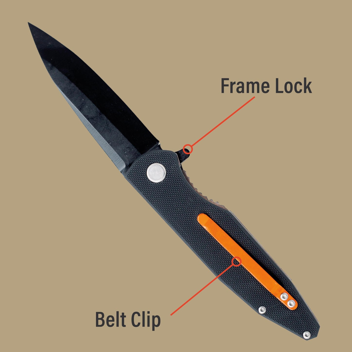 Bear Grylls Folding Blade Pocket Knife, 3.6" 3cr13 Steel Blade, EDC Knife with G10 Handle, and Belt Clip for Camping, Survival and Backpacking - Black