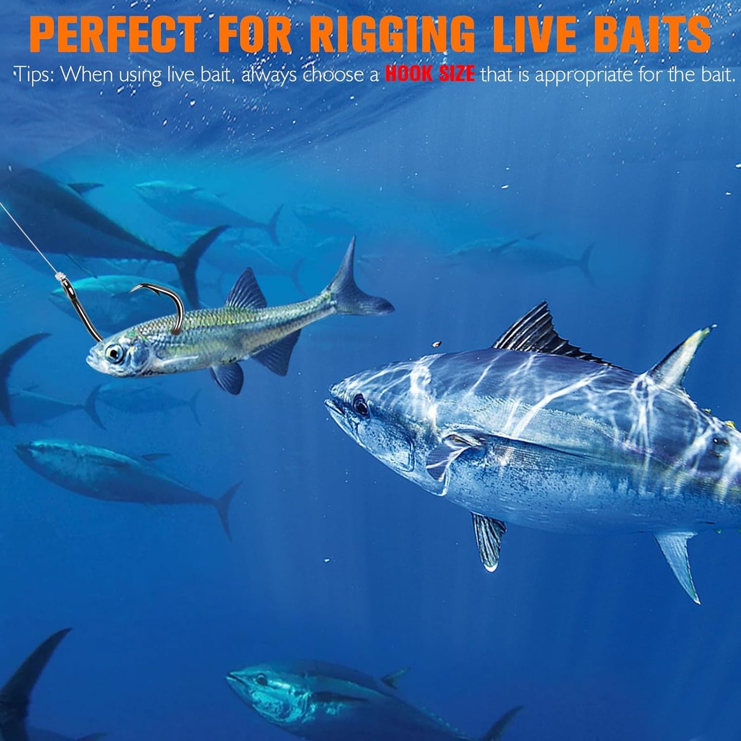 Dovesun Circle Fishing Hooks - 3X Strong Saltwater Hooks for Catfish, Striper, Bass | Sizes 3/0 to 12/0