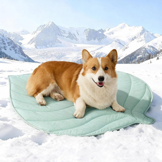Cooling Mat for Dogs & Cats - Non-Gel, Waterproof Leaf Shaped Pet Pad | 39x34 Inch, Green