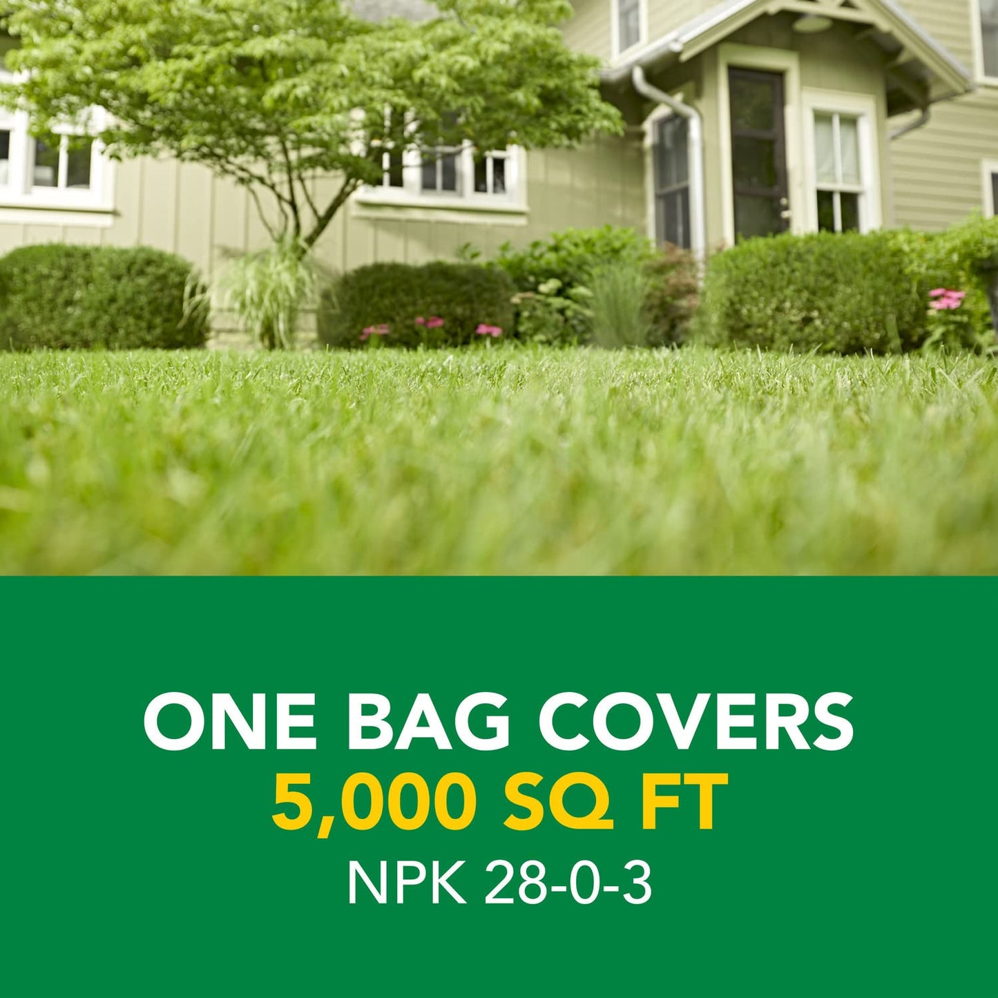 Scotts Turf Builder Weed and Feed 3, 5,000 sq. ft.