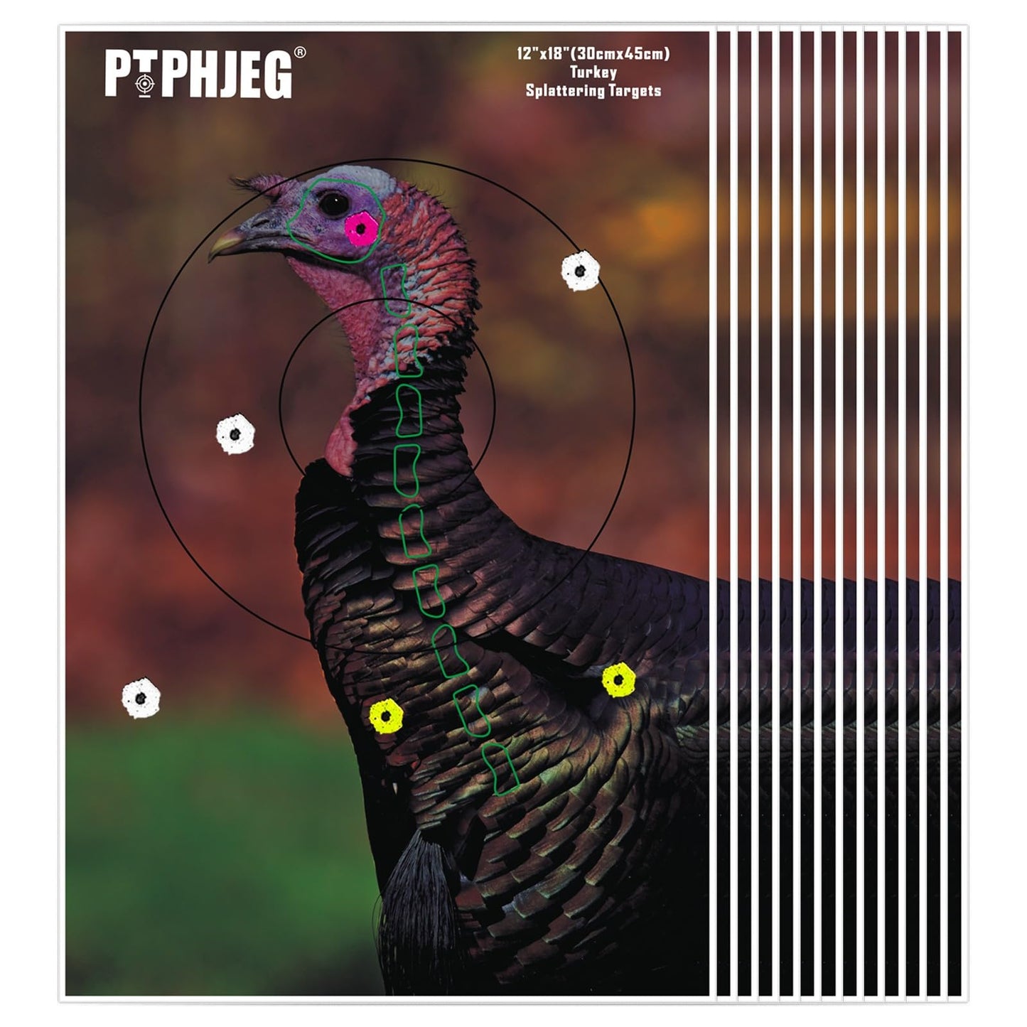 PTPHJEG 12" x 18" Small Game Animal Targets & Reflective Turkey Targets - Photo-Realistic Instant Splatter Shot Targets - for All Guns and calibers - 50 Pack