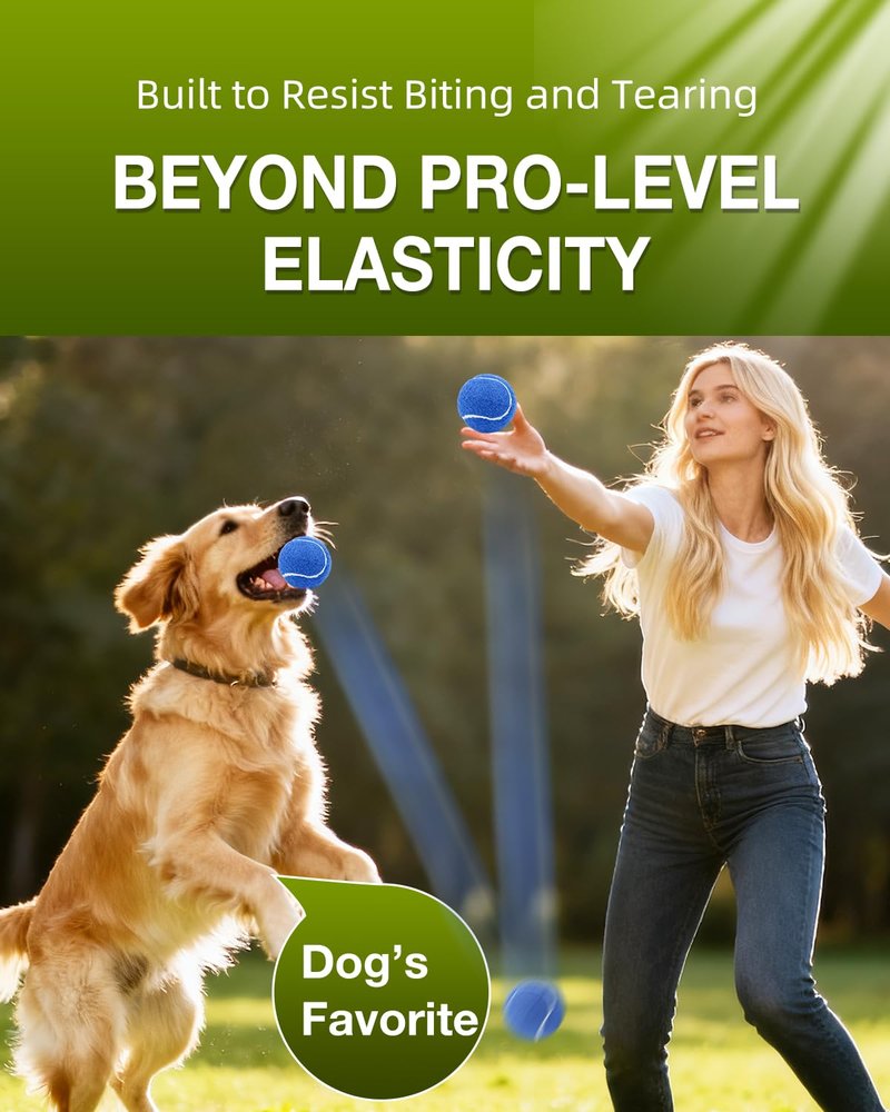 GOLDNITE Tennis Balls for Training and Dogs,Yellow 20 Pack Practice Tennis Ball with Mesh Bag for Transport and Beginner Exercise High Elasticity Durable Pet Playing Tennis Ball Set
