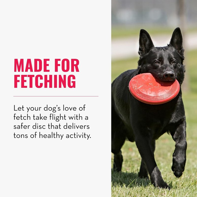 KONG Flyer Dog Toy - Durable Natural Rubber Flying Disc for Fetch | Ideal for Medium/Large Dogs