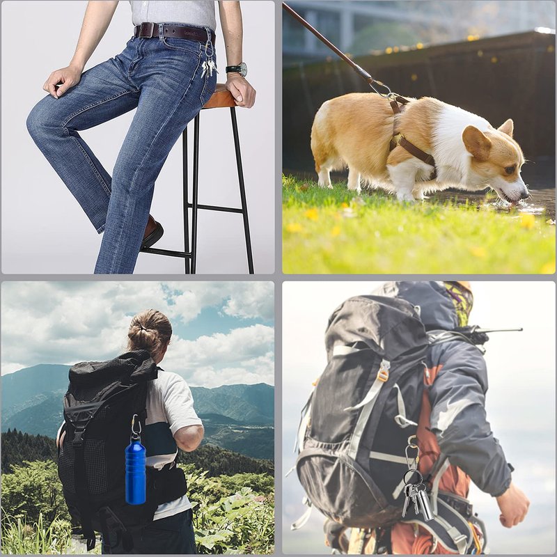 SHD Titanium Small Locking Carabiner Clip Mini Caribeener Clips D-Ring Lightweight Keychain Clip for Indoor Outdoor Use - 6PCS