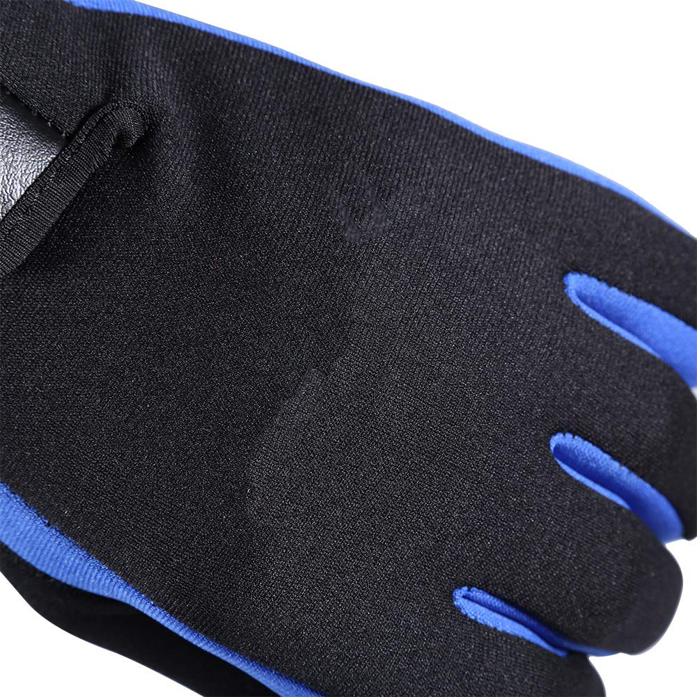 Diving Gloves Neoprene Wetsuits Five Finger Gloves Non Skid Flexible Thermal Material for Snorkeling Swimming Surfing Sailing Kayaking Diving (L Blue)