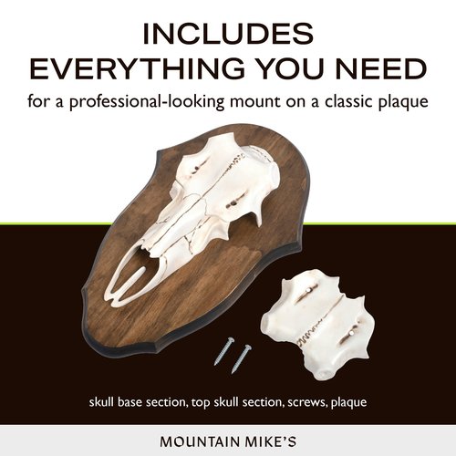 Mountain Mike’s Black Forest Universal Antler Mounting Kit - Plaque and 3D Skull Mount Kit - Compatible with Harvested and Shed Antlers - Rustic Home Decor - Great Outdoor Inspired (Natural Causes)