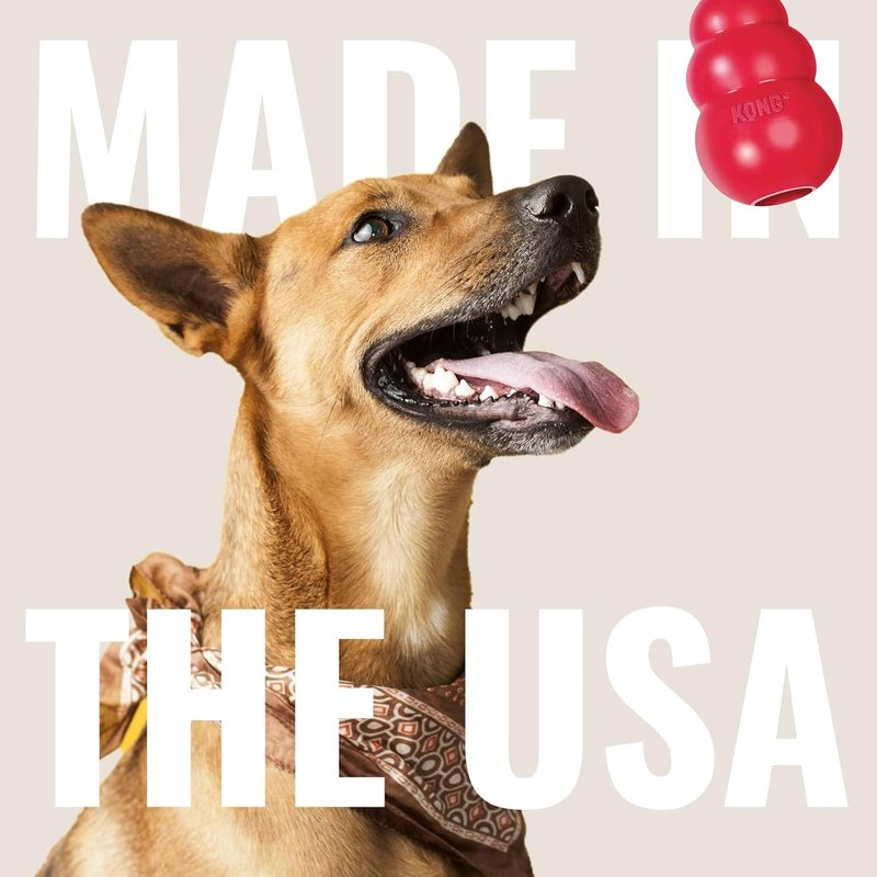 KONG Flyer Dog Toy - Durable Natural Rubber Flying Disc for Fetch | Ideal for Medium/Large Dogs