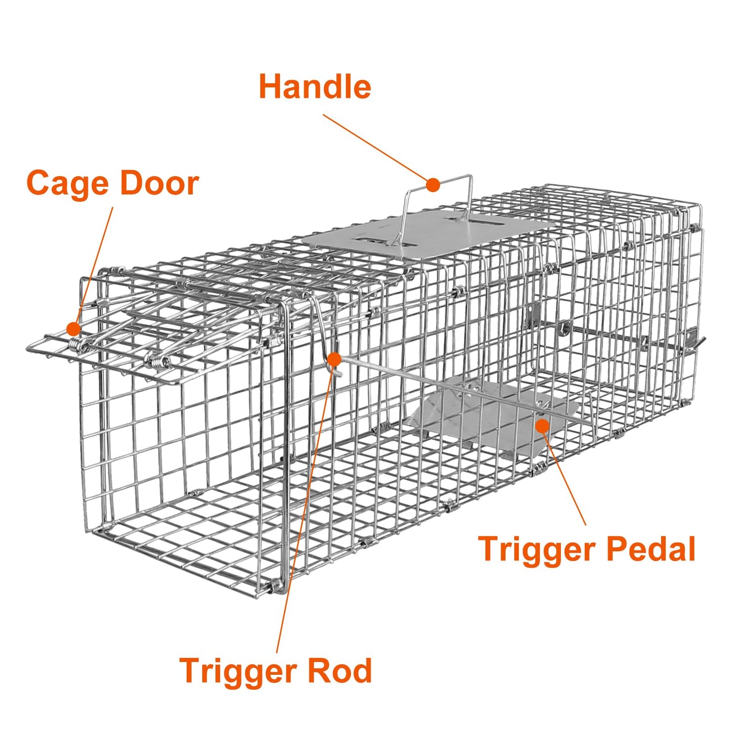 24” Humane Live Animal Trap Cage, Heavy Duty Folding Catch and Release Rodent Trap for Squirrels, Rabbits, Stray Cats, Skunks, Moles, Gophers, Groundhogs – Galvanized Rustproof Steel