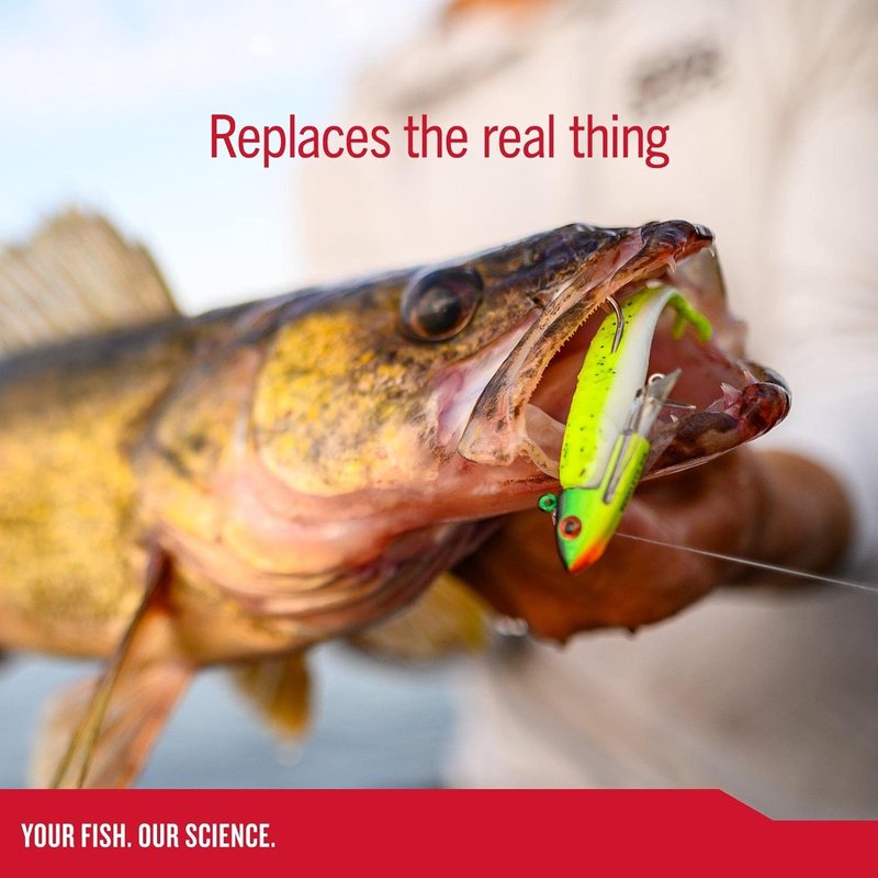 Berkley Gulp! Minnow Fishing Soft Bait - Realistic Lifelike Design | 4-Inch Size