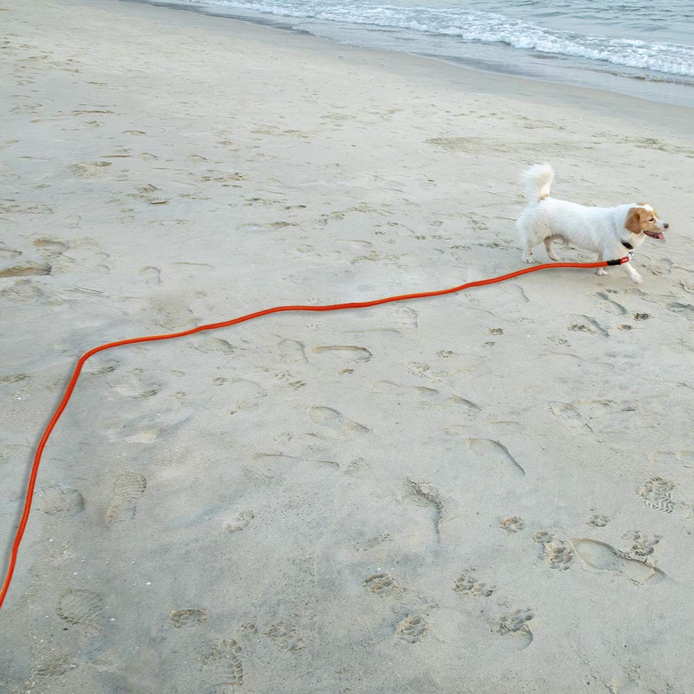 Vivifying Floating Long Dog Leash, 32FT Long Leash for Dog Training, Lightweight Check Cord for Outdoor, Hiking, Swimming, Beach and Lake