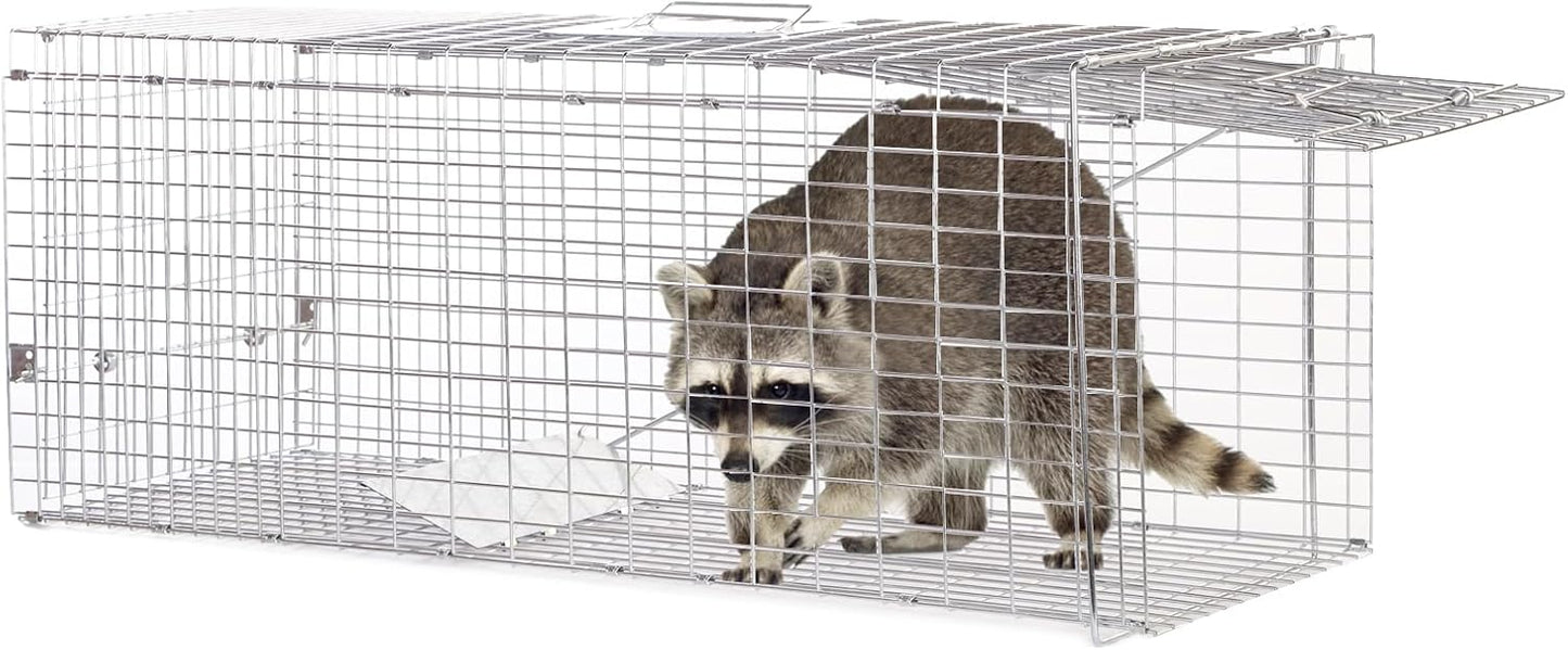 Live Animal Trap for Cats, Raccoons & Rabbits - Steel Foldable with Pedal Triggers | 37.2 x 13 x 14.37 Inches