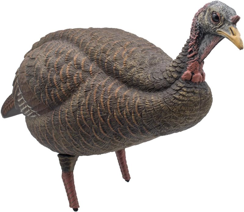 Live Breeder Hen Turkey Decoy - Realistic Hunting Decoy for Effective Turkey Lure