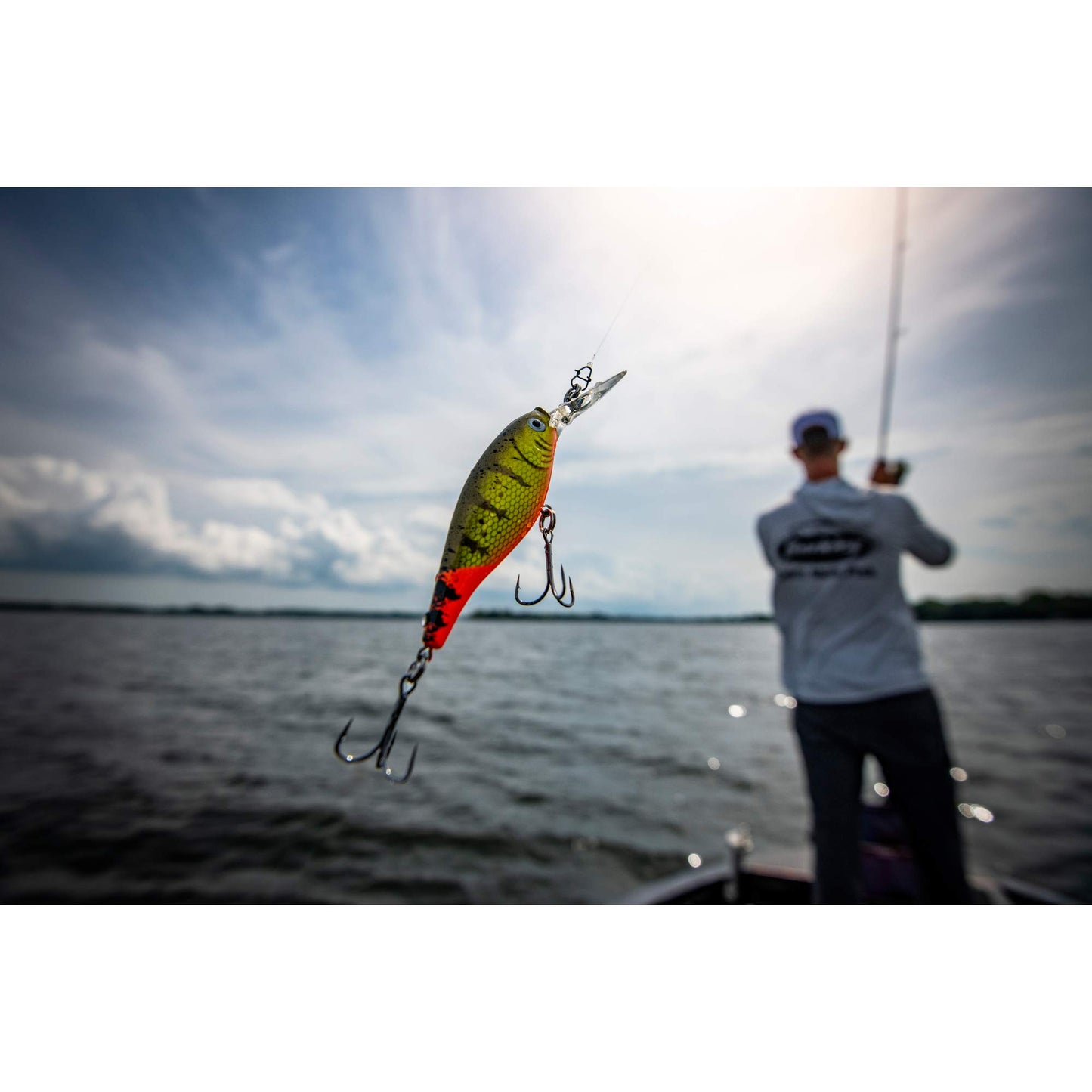 Berkley Flicker Shad Fishing Lure, HD Smelt, 5/16 oz, 2 3/4in | 7cm Crankbaits, Size, Profile and Dive Depth Imitates Real Shad, Equipped with Fusion19 Hook