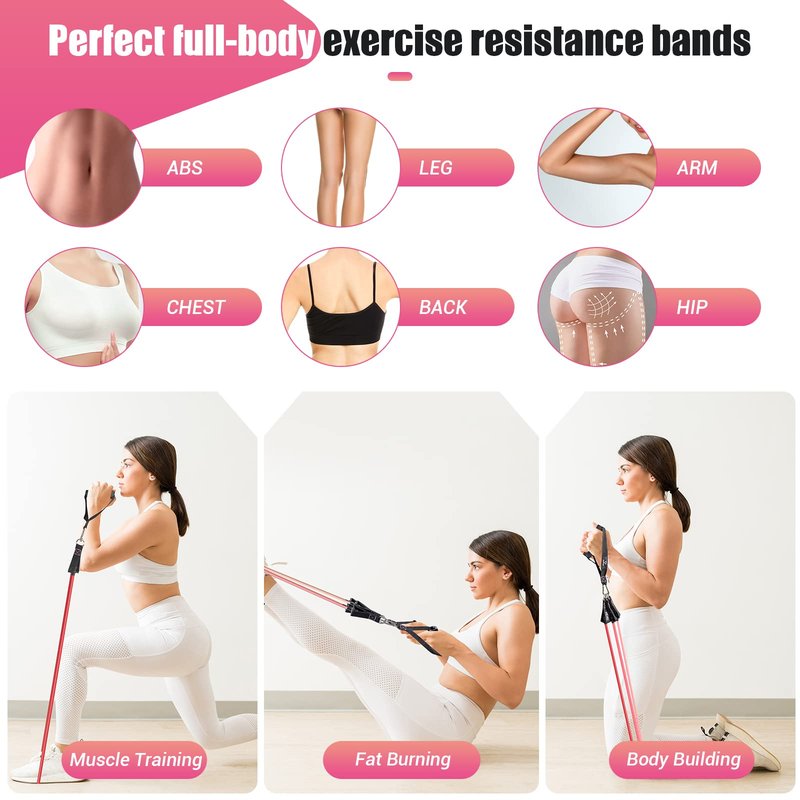 Resistance Bands with Handles for Women, 5 Level Exercise Bands Workout Bands for Physical Therapy, Yoga, Pilates, Door Anchor, Storage Pouch(Pink)