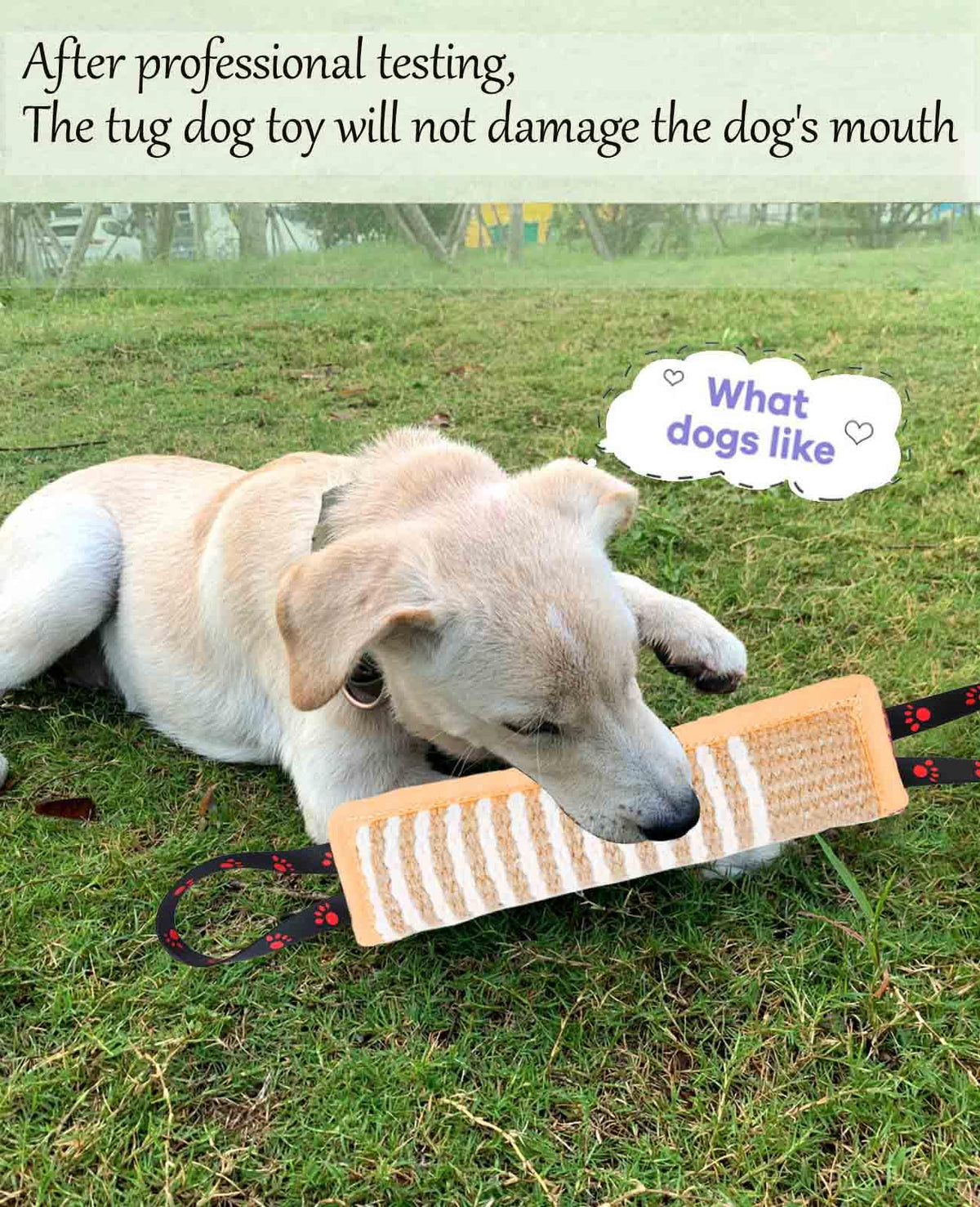 Clysoru Dog Tug Toy Tough Jute Bite Pillow Lasting Training Equipment Puppy to Large Dogs Interactive for Large and Small (Brown Footprint)