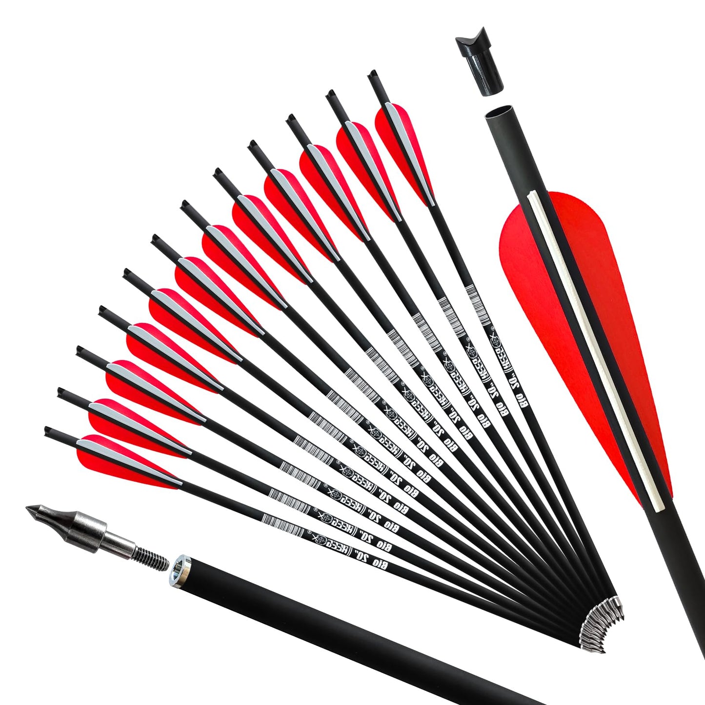 REEGOX Crossbow Bolts 20 inch Bio Crossbow Arrows with Moon Nocks and Removable Tips (Pack of 12) (20"-Red)