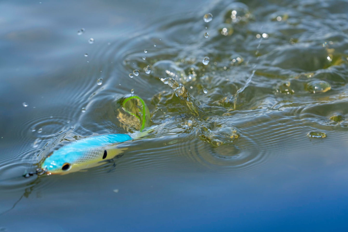 Berkley Choppo Topwater Fishing Lure, HD Blueback Herring, Size 75, Cupped Propeller Tail for Balance of Sound and Spray, Equipped with Sharp Fusion19™ Hook