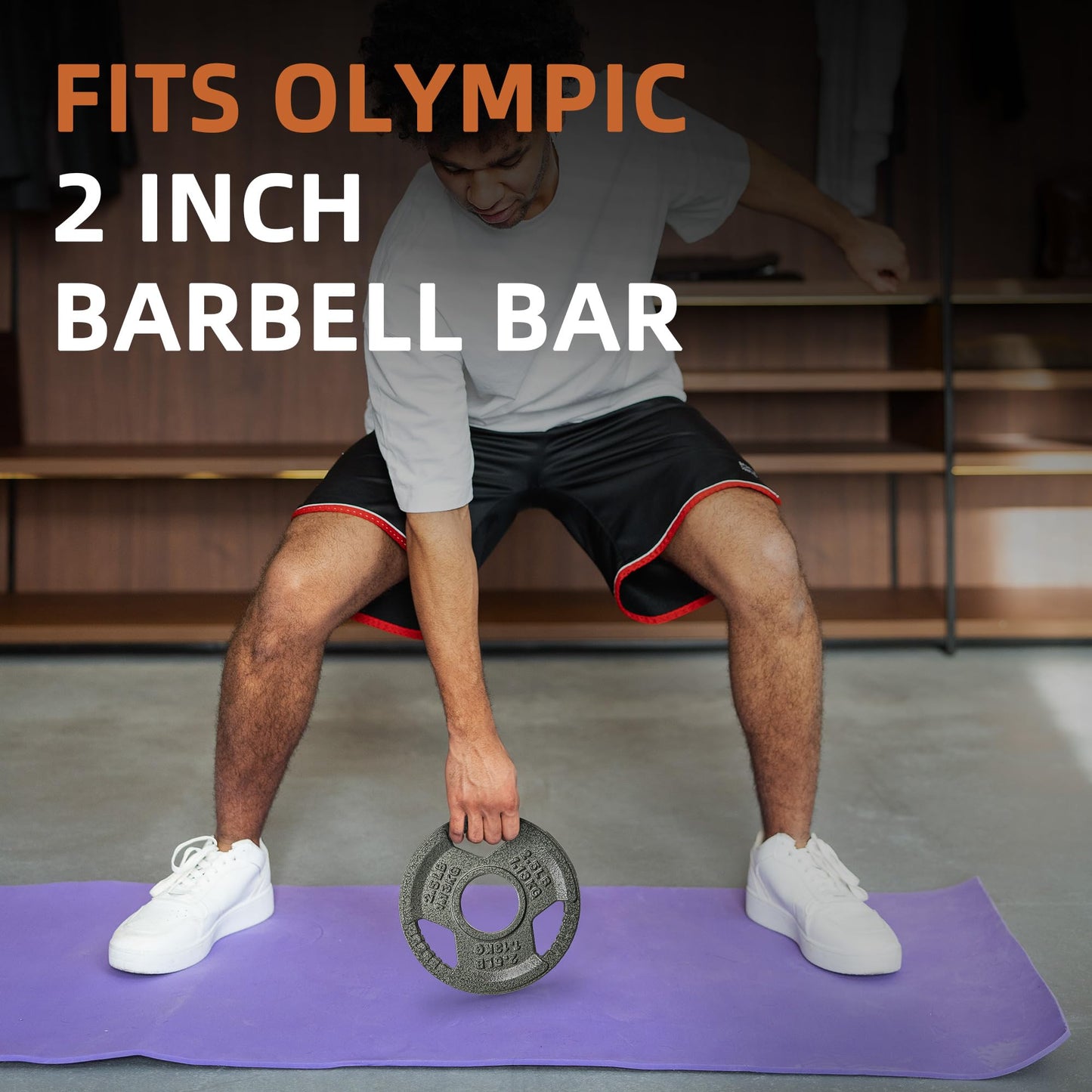 Fitvids Olympic Cast Iron 2-Inch Weight Plate for Strength Training & Weightlifting, Multiple Weights Available, 2.5LB (Set of 4)