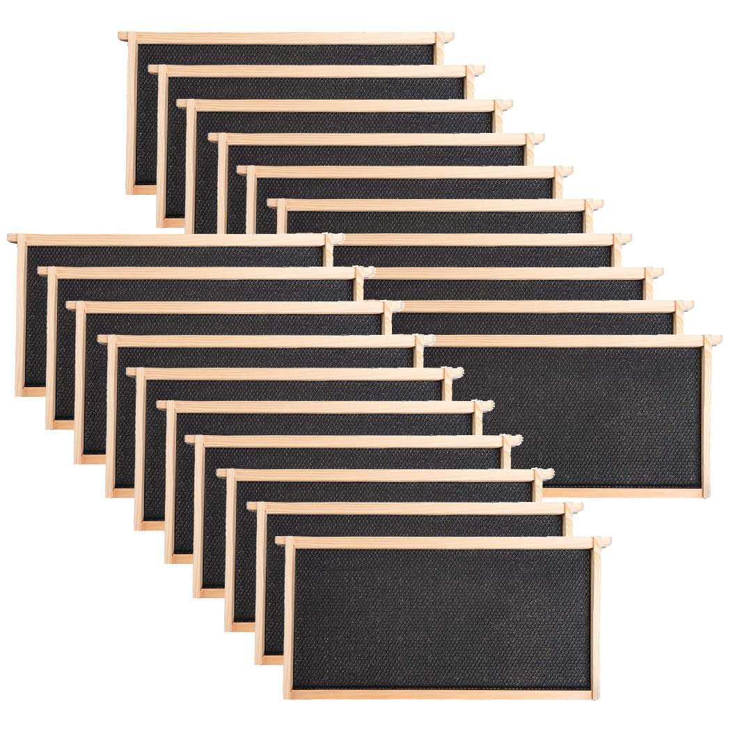MayBee 20 Pack Honey Bee Frames with 100% Beeswax Coated Food Grade Foundation Sheets, Complete Unassembled Deep Beehive Frames and Foundations