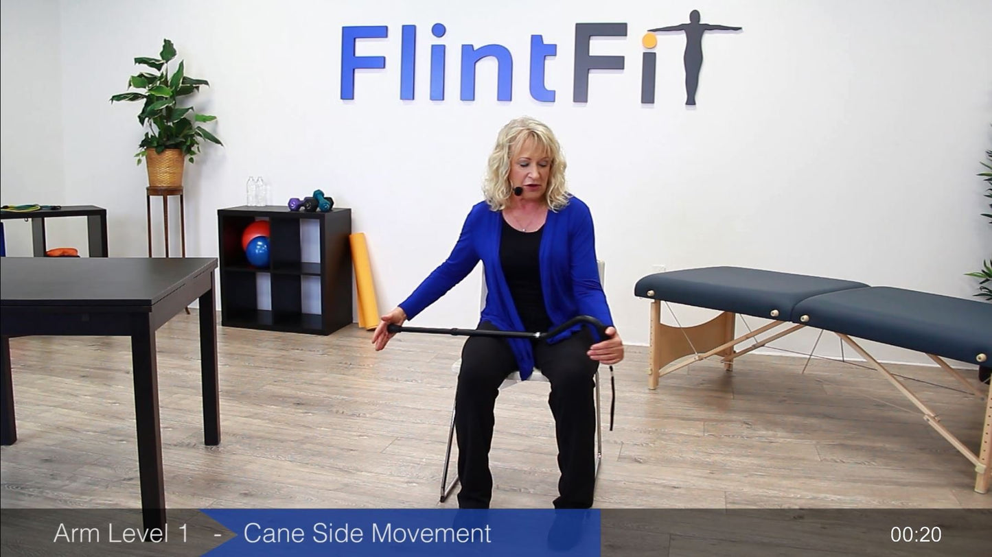 FlintFit Stroke Recovery Exercises: Therapy Videos for Hands, Arms, Core, and Legs