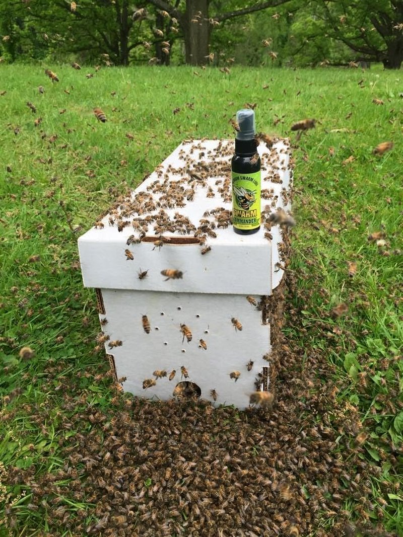Swarm Lure Spray - 2oz High Mist Insect Attractant for Effective Trapping