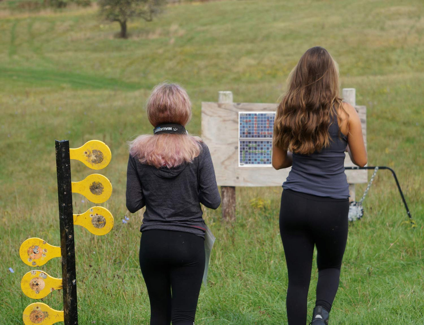 Birchwood Casey Battle Target Shooting Target 8 Pack
