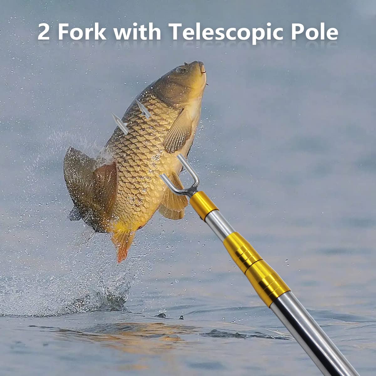 Dutiplus Telescopic Fish Gaff with 2 Teeth Assorted Harpoons Barbed, Sea and Ice Fishing Spear Gig for Hunting Fish Frog Mole - 5ft Long (2 Teeth+4.5ft Telescopic Rod)