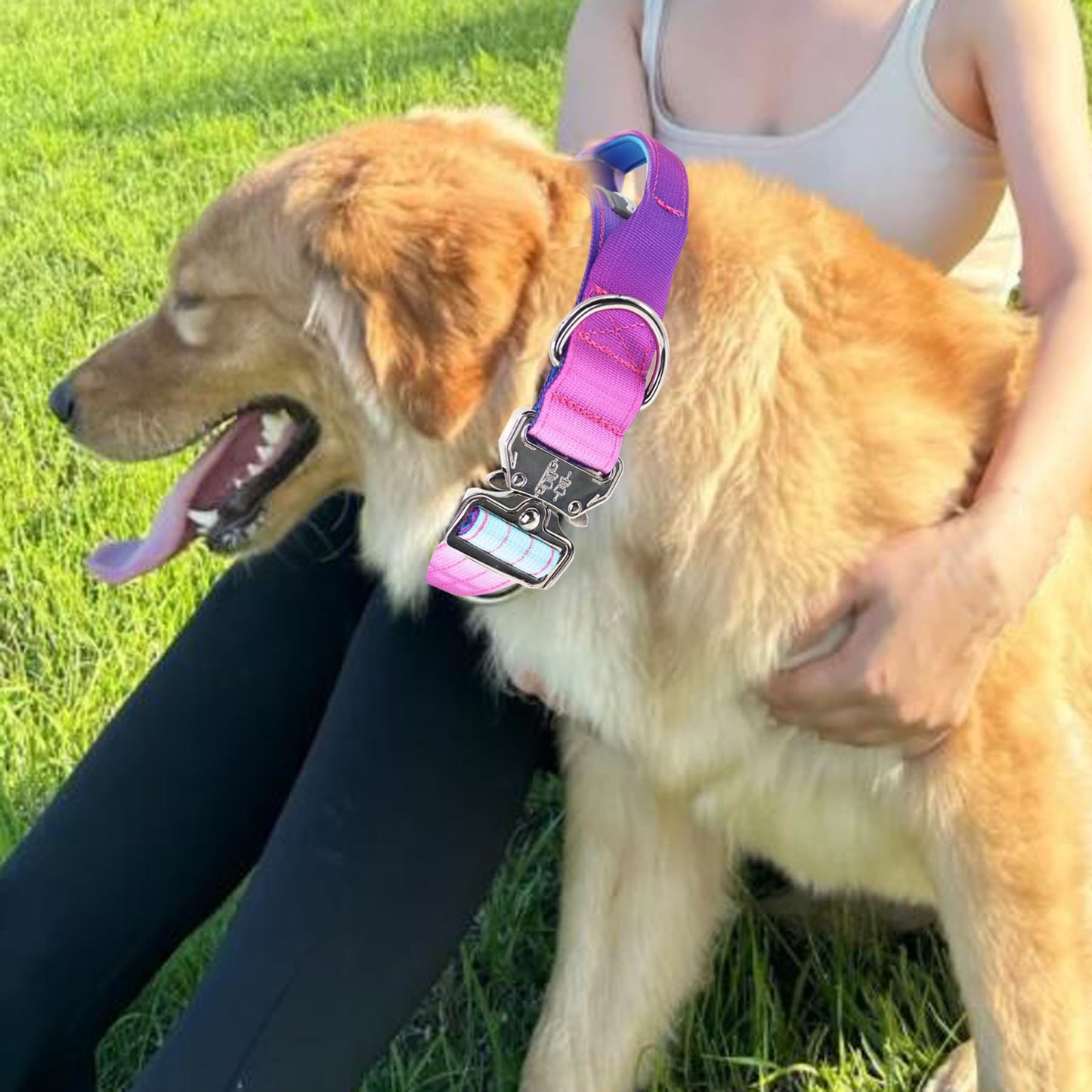 Comfluxe 1.5" Tactical Dog Collar with Handle, Heavy Duty Dog Collar with Metal Buckle for Medium Dogs, Soft Neoprene Padded Lining, Adjustable Gradient Colorful Nylon Collar for Training (Purple, M)