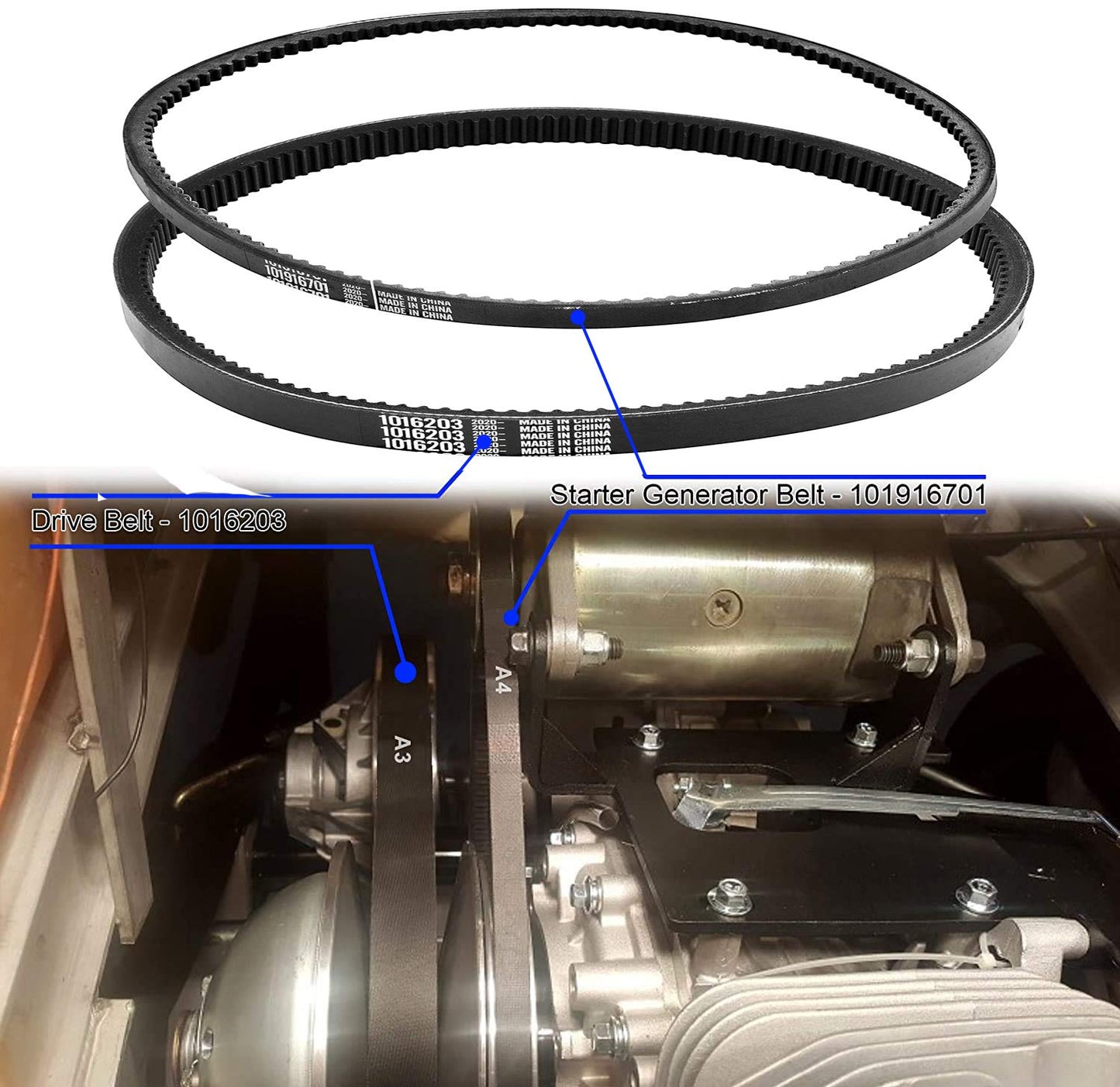 Roykaw Golf Cart Clutch Drive Belt and Starter Generator Belt Kit for Club Car 1997-Up DS and 2004-Up Precedent Golf Cart, High Tensile Strength Belt, OEM# 1016203, 101916701