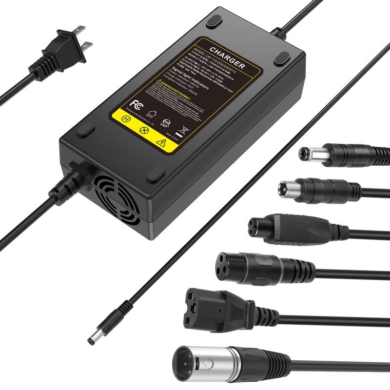 Fancy Buying 7-in-1 Universal 54.6V 2A ebike Charger for 48v Fast and Safe Charging of 13S Li-ion Battery