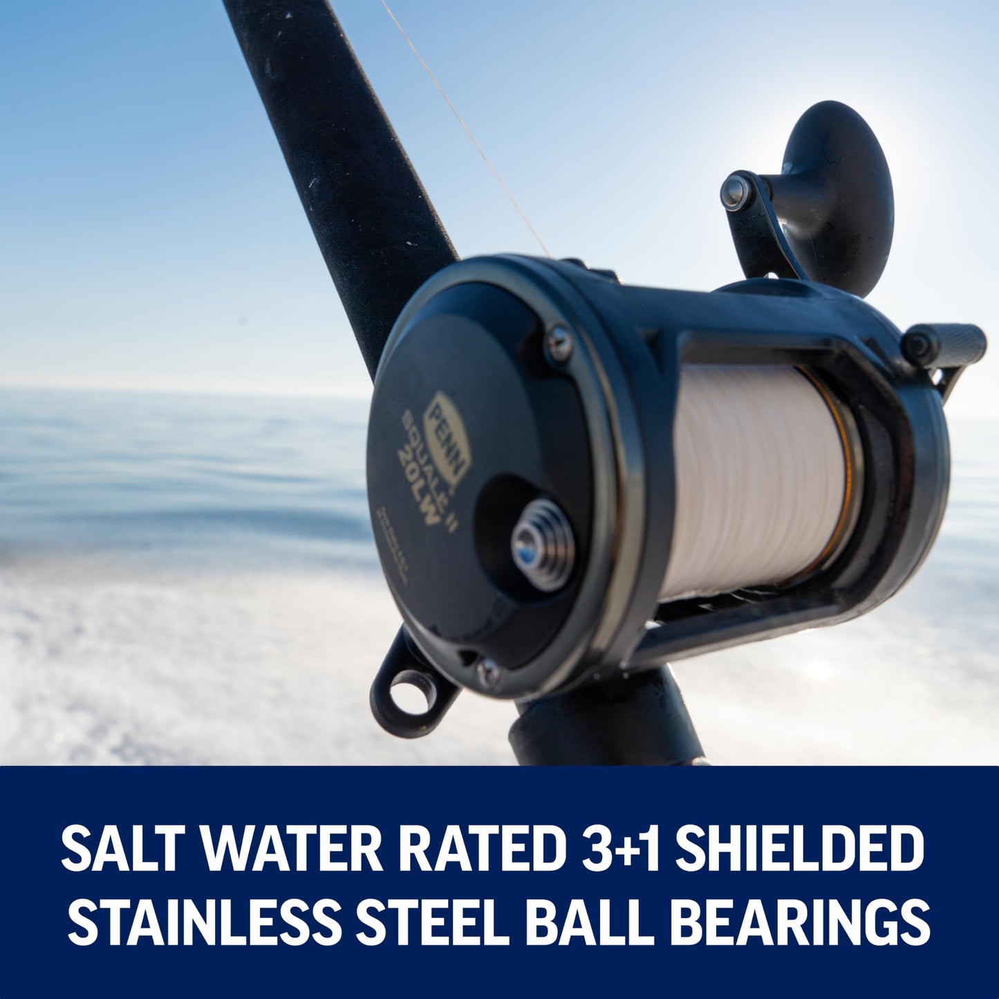 Penn Squall II Level Wind Conventional Fishing Reel, Black Gold, 20