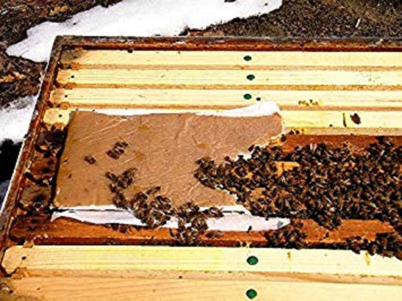 VILLAGE GIFT IMPORTERS Pollen Patty | High Protein Formula | Supplementary Feed for All Levels of Beekeepers