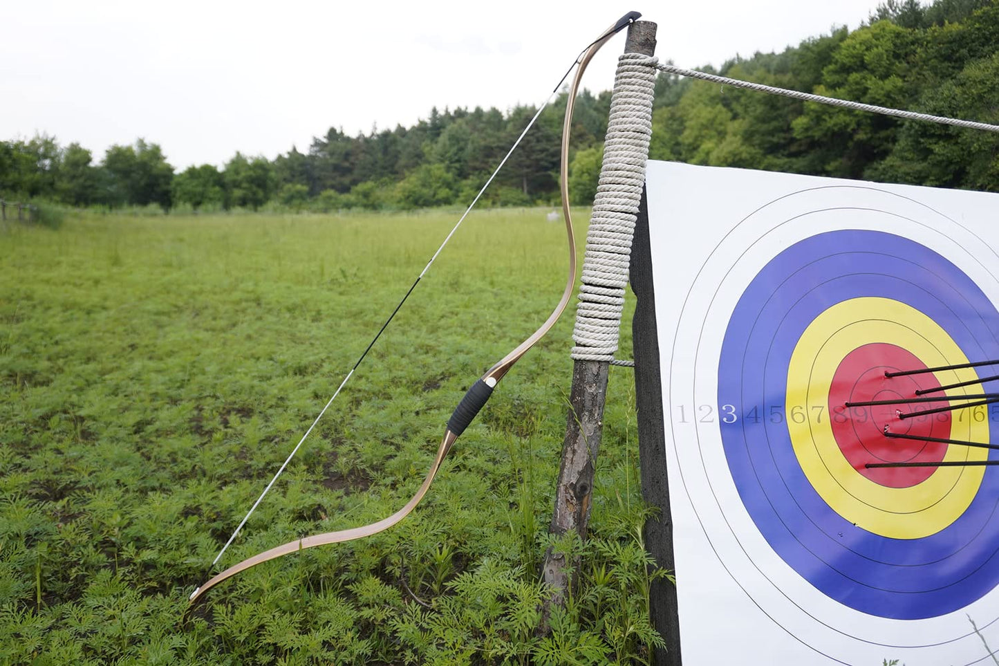 AF Archery Tatar Recurve Bow, Takedown Traditional Laminated Horse Bow for Mounted Archery and Precision Shooting, Longbow Left Right Hand(Oak, 30lbs)