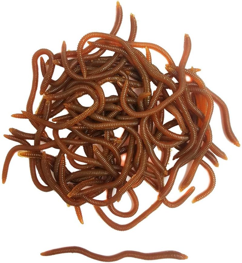 Lifelike Fishing Soft Lure - 1.6in/3.3in/3.9in Trout Worm Bait | Realistic Bloodworm Grub Design