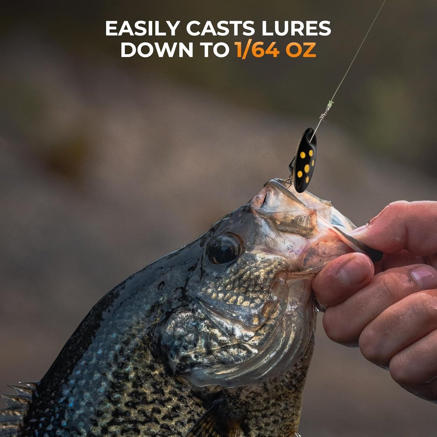 KastKing Zephyr Finesse Fishing Rods - Ultra-Light IM6 Graphite Twin-Tip Design | 2pc & 3pc Travel Options