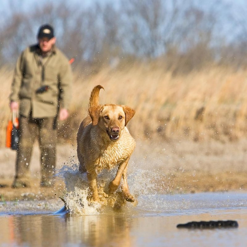 Avery HexaBumper Retriever Dummy - Hexagonal Floating Design, Easy-Grip Texture | Black, 2" Size for Hunting & Training