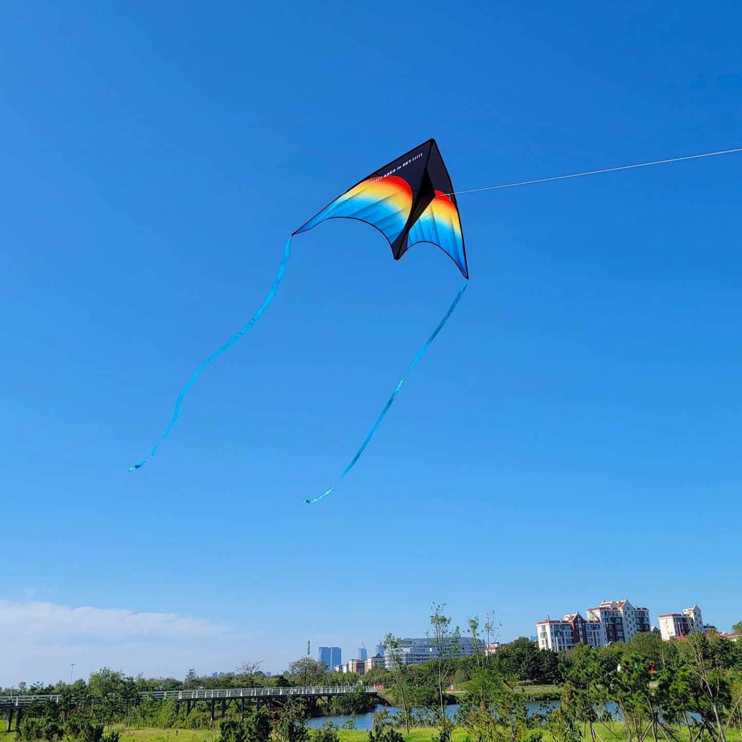 Large Beach Delta Kite for Adults and Kids Ages 4-8 & 8-12, Extremely Easy to Fly for Beginners(60X30''), Single Line Kite,Comes with 300 FT String Kite Handle.(Rainbow)