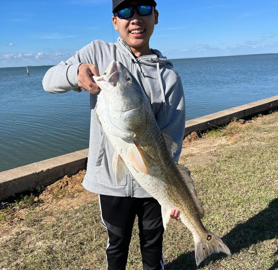 A.M. Fishing Curly Tail Jerkshad 5.5 Inch Soft Baits Garlic Infused,– 6 Pack – Saltwater & Freshwater Fishing Lures for Bass, Redfish, Snook, and Trout (Watermelon Red Chartreuse)