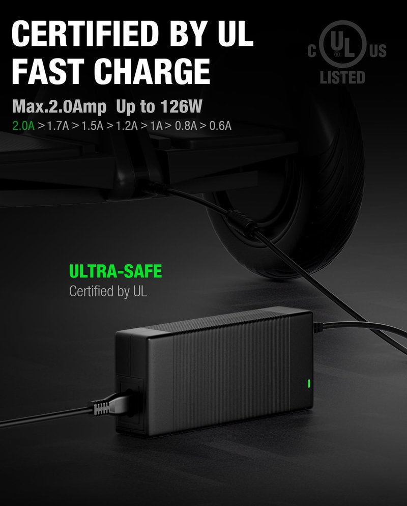 stio 63V 2A Charger for Ninebot S/S-MAX/Mini PRO/Mini lite, 4 Prong 126W Power Supply Compatible with Ninebot by Segway Go Kart Kit,Gokart PRO,Gokart PRO 2 Lithium Battery Charger Power Adapter