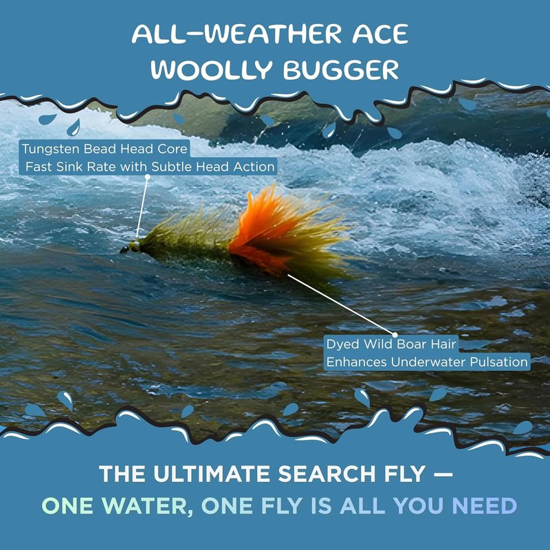 Bass Flies - 28-Piece Dry, Wet, Nymph & Streamer Fly Set with Waterproof Box | Ideal for Beginners in Rivers & Lakes