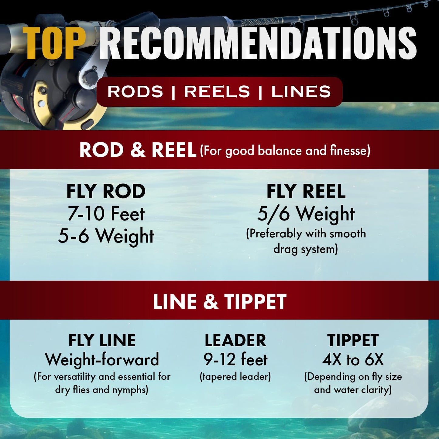 RoxStar Fly Shop Trophy Trout 24pk Top Wet & Dry Flies for Trout. Proven Nationwide to Catch Fish! Tied in-House Never Outsourced Fly Fishing Gift (Barbless Trophy Trout Flies 24pk)