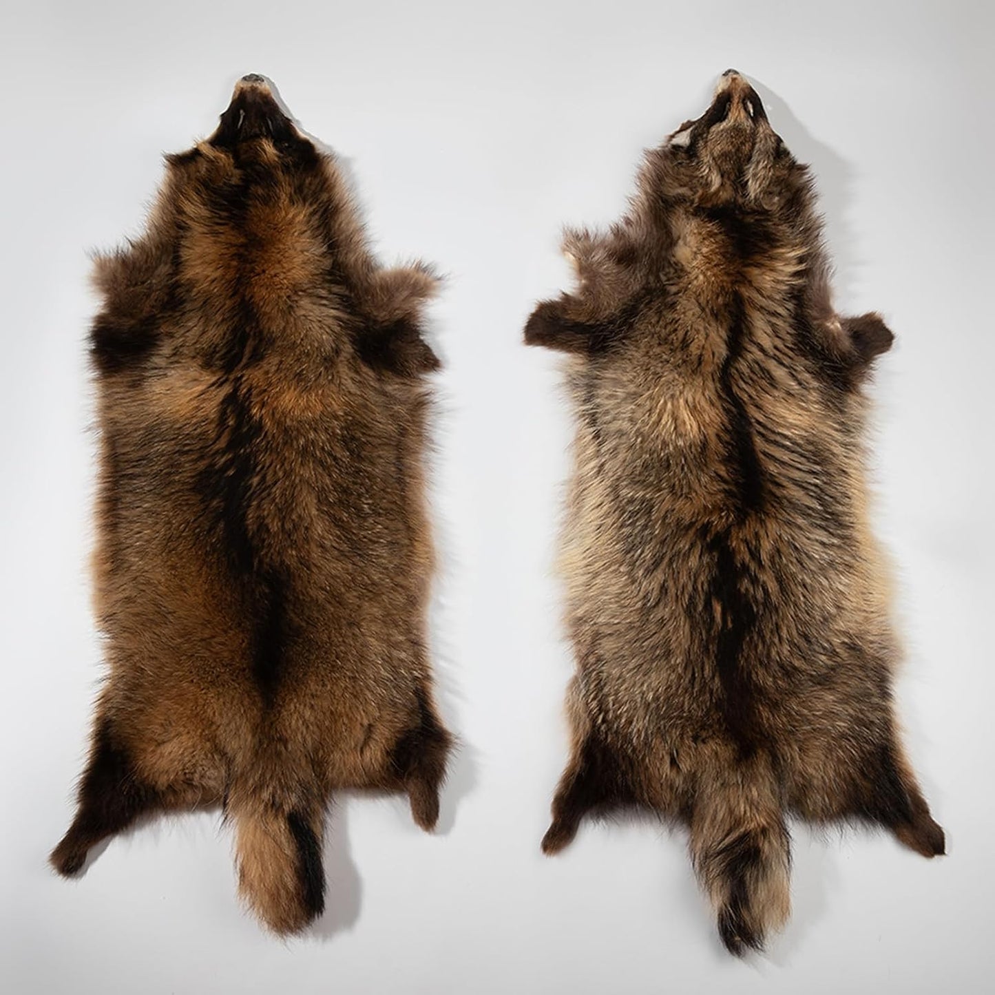 Natural Tanned Raccoon Fur Pelts - Premium Quality Real Skin for Fly Tying & Crafts | 29.5-31.5" Length, 9.8-11.8" Width, Brown