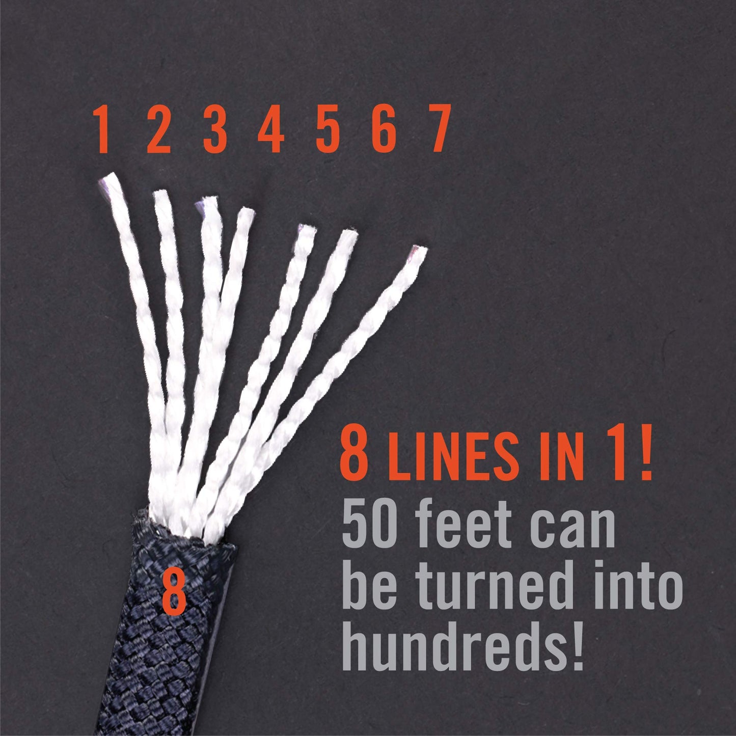 Atwood Rope MFG 550 Paracord 100 Feet 7-Strand Core Parachute Cord (Graphite)