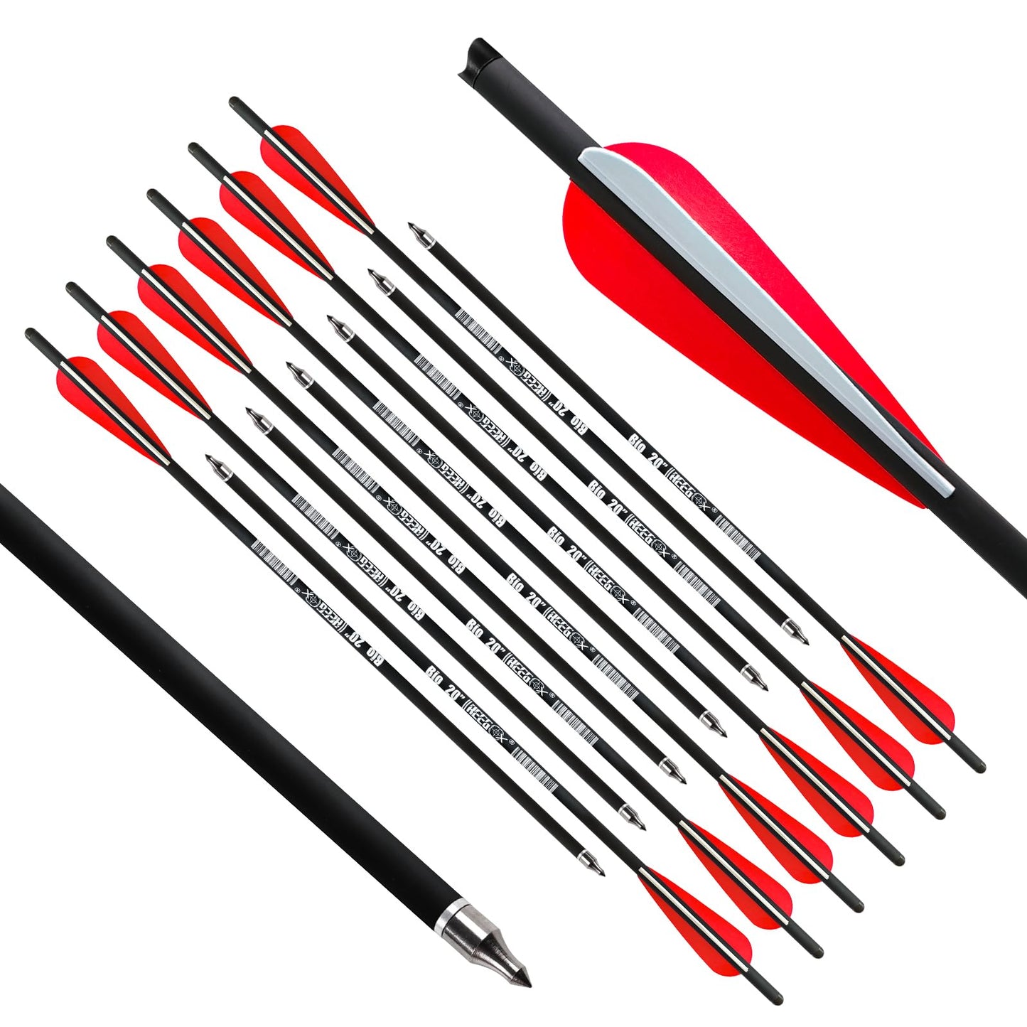 REEGOX Crossbow Bolts 20 inch Bio Crossbow Arrows with Moon Nocks and Removable Tips (Pack of 12) (20"-Red)