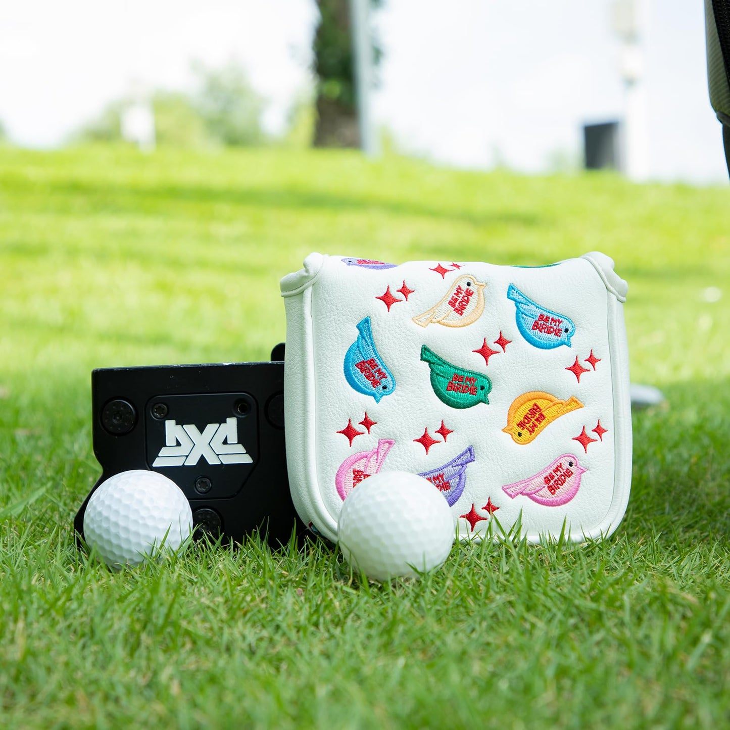Golf Mallet Putter Cover, Square Mallet Putter Cover with Strong Magnetic Closure, Colorful Birdie Design Putter Head Cover Waterproof PU Leather Mallet Putter Headcover